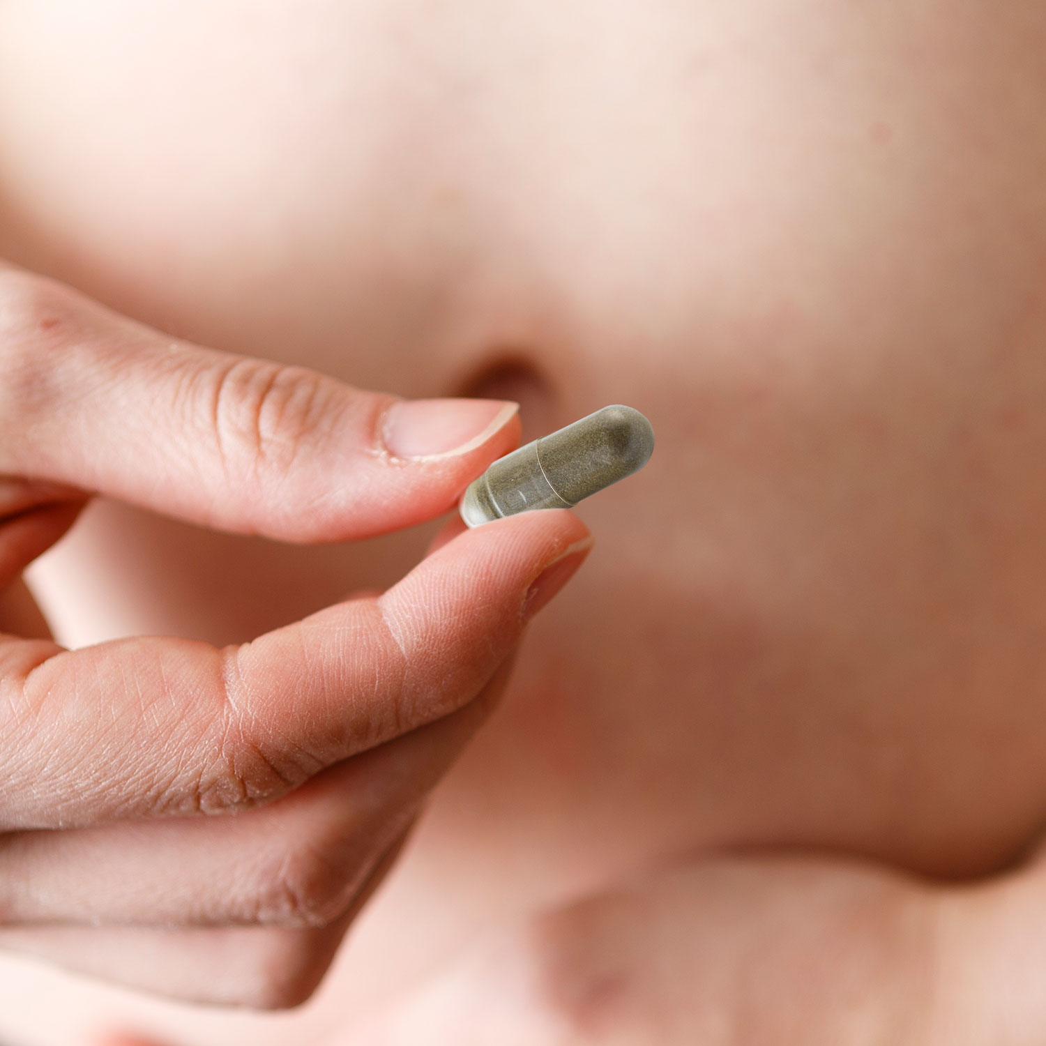 お召し上がりイメージ